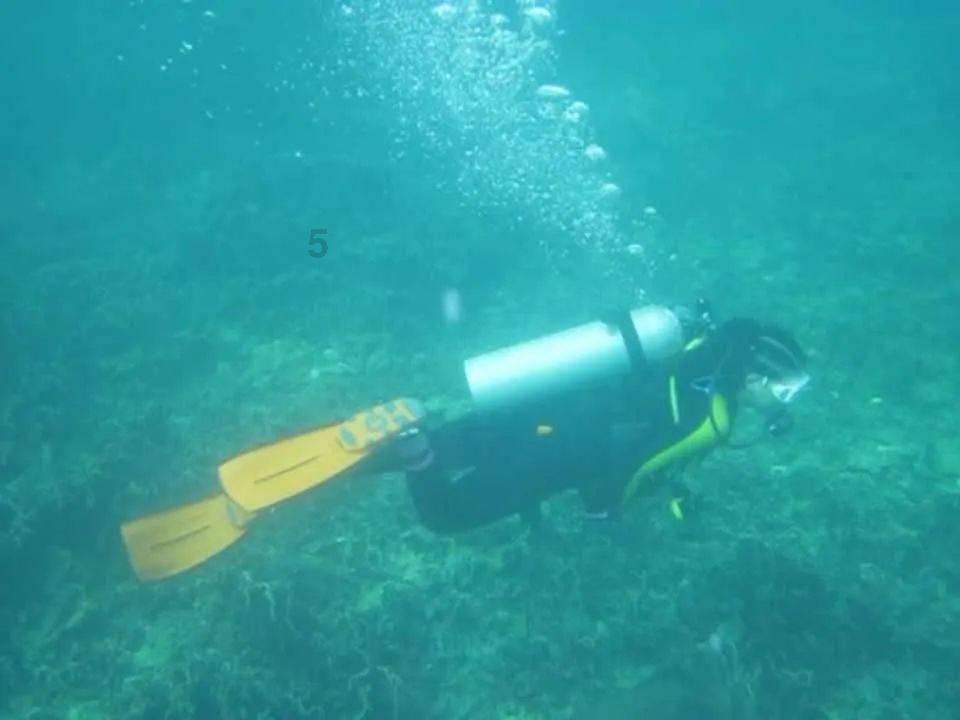 在花千骨里面,清虚道长到底对杀阡陌有什么恩呢?-专业知识星球平台